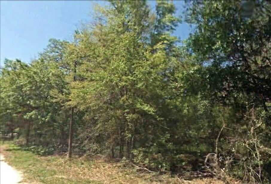 Premium .20 Acre Lot- A Great Place to Live & Play!