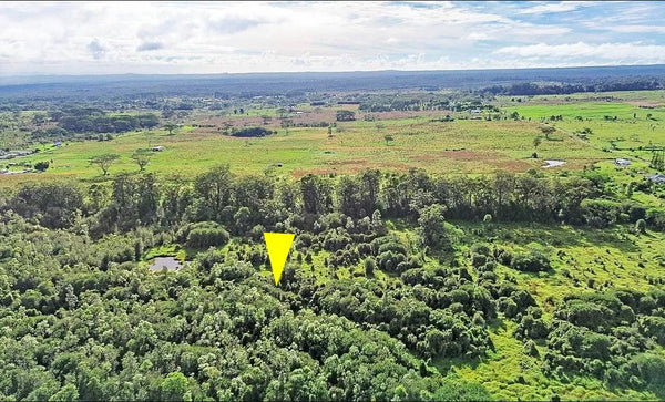 Own 8.33 acres with views of Mauna Kea and Country living meets Vintage Hawaiian lifestyle