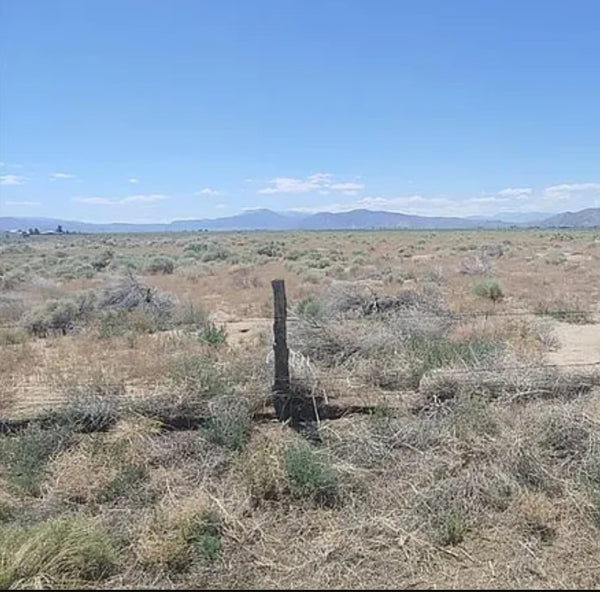 14.77 Acre in Beautiful Smith Valley A Rural, Farm And Ranch Community