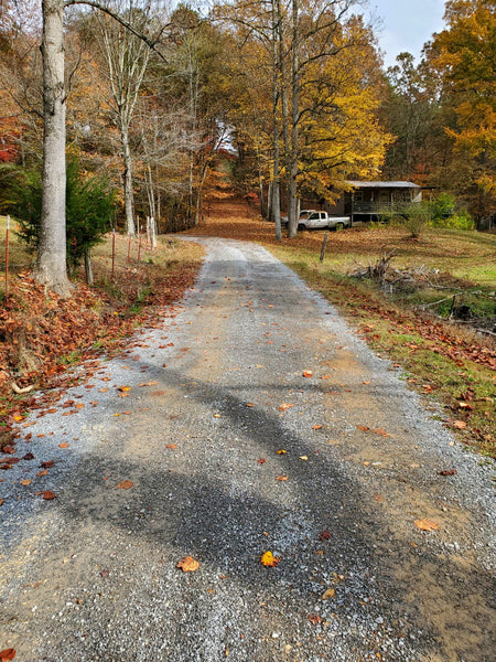 Your Secluded Paradise Awaits! 15.78 Acres in Sevier County, TN