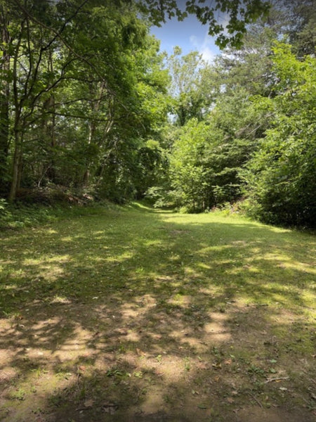 Your Secluded Paradise Awaits! 15.78 Acres in Sevier County, TN
