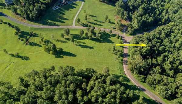 Beautiful large wooded 2.54 Acres lot with 3 side road with privacy and views. Close in to Tellico lake