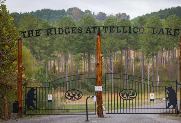 Beautiful large wooded 2.54 Acres lot with 3 side road with privacy and views. Close in to Tellico lake
