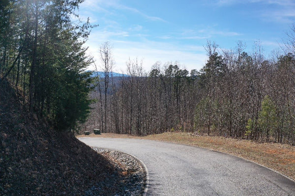 2.13 acre Lot Stunning Year-Round, Long Range Mountain Views In This Beautiful Vista at Bill's Mountain