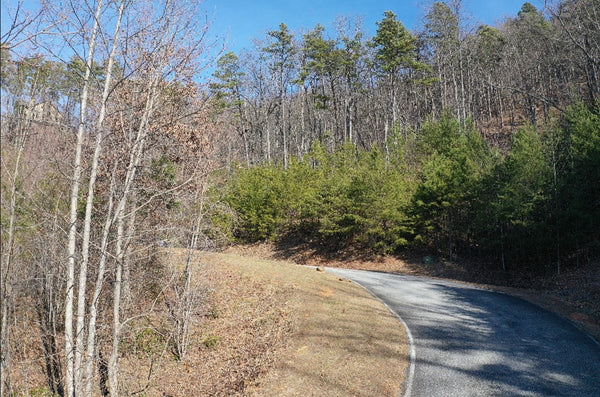 2.13 acre Lot Stunning Year-Round, Long Range Mountain Views In This Beautiful Vista at Bill's Mountain