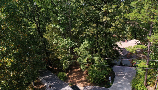 Spacious, wooded .50 Acre lot on stunning Lake Hartwell. Water front with Dock Permitted