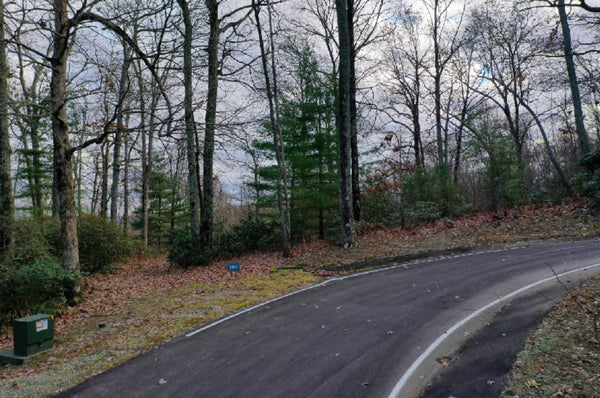 Lovely wooded lot 1.38 acre in Cliffs At Glassy and beautiful Mountain and Lake view
