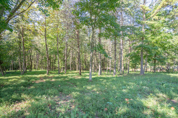 .81 acre Lake view Lot in Lakeside Community-Watts Bar Lake Boat Slip