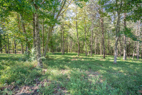 .81 acre Lake view Lot in Lakeside Community-Watts Bar Lake Boat Slip