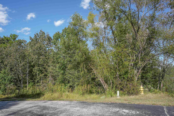 Great .98 Acre building lot ready for your dream home with amazing seasonal views of Watts Bar /Tennessee River.