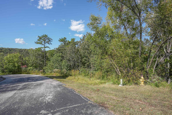 Great .98 Acre building lot ready for your dream home with amazing seasonal views of Watts Bar /Tennessee River.