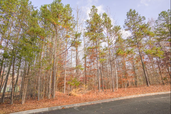 .40 acre Water front lot on a cul de sac street- Enjoy the gift of Emory River