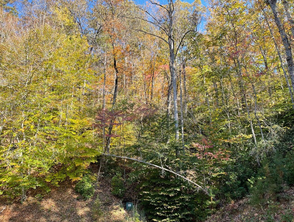 Great 1.97 acre is one of the best and largest view lot in Keowee Mountain