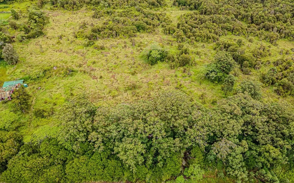Own 8.33 acres of land where Country living meets Vintage Hawaiian lifestyle