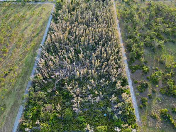 Great Investment! 5 Acre Lot with Island living is the perfect Florida lifestyle!
