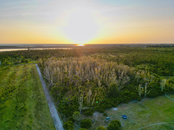 Great Investment! 5 Acre Lot with Island living is the perfect Florida lifestyle!