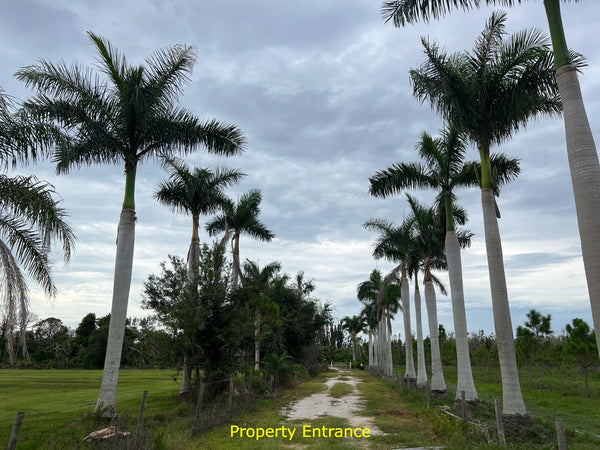 Great Investment! 5 Acre Lot with Island living is the perfect Florida lifestyle!
